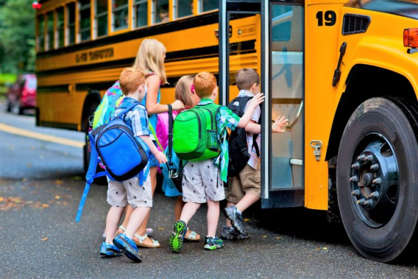 Правила перевозки детей автобусом: какие новости из ГИБДД, общие для организованной группы в международной сфере, школа, нарушение
