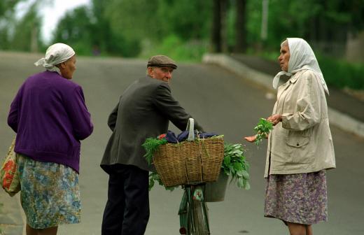 О законопроекте Московской области «О приемных семьях для престарелых и инвалидов в Московской области»