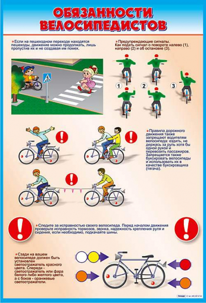 Правила поведения велосипедиста: основы передвижения, поведение, безопасность